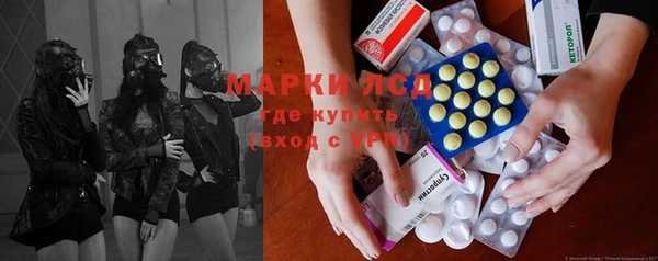 a pvp Магас