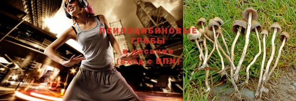 МДПВ Майский