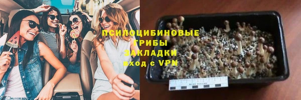 a pvp Магас