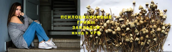 МДПВ Майский