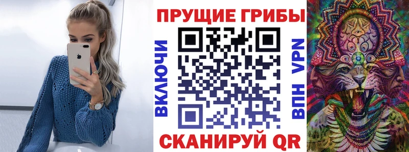 Галлюциногенные грибы Psilocybe  купить наркотики цена  Новое Девяткино 